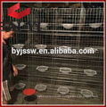 Steel Wire Pigeon Cage Factory